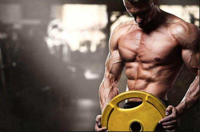 Beginner steroids cycles