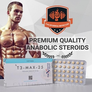 T3 Max 25 mcg for sale in USA