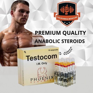 Testocom on propergear.net